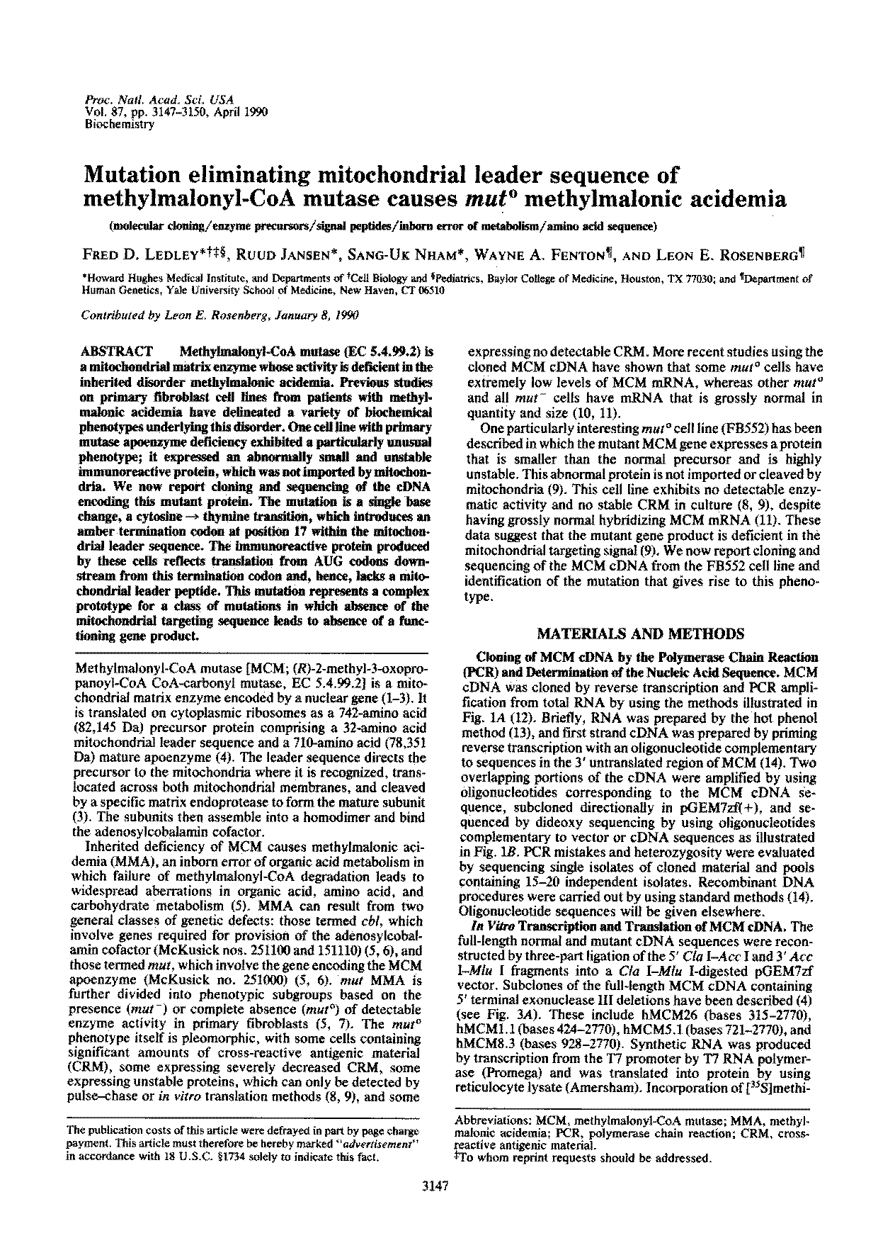 mutation in transcription and translation